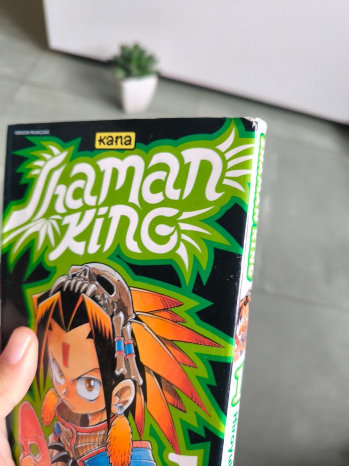 Shaman king intégrale 32 mangas - photo numéro 8