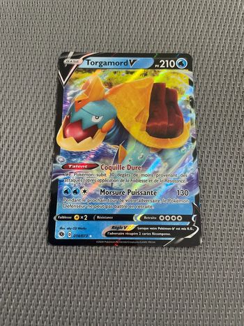 Carte Pokémon Torgamord V 014/073 La Voie du Maître FR