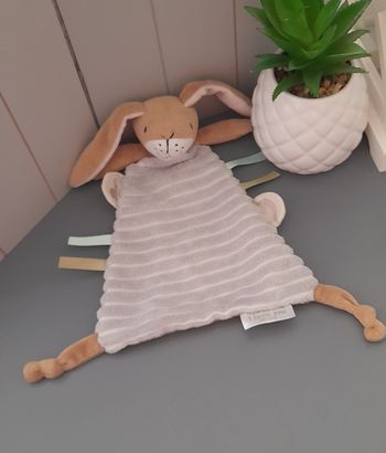 Lapin Rainbow designs