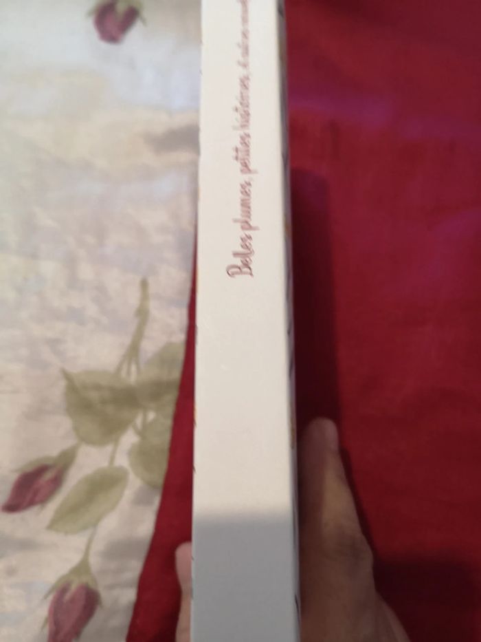 Belles plumes, petites histoires - photo numéro 3