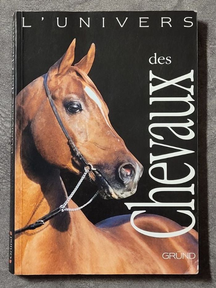 L'Univers des chevaux Par Josee Hermsen, Claire Lefebvre