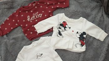 3 pulls + ensemble rose