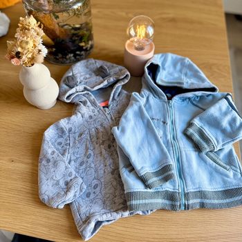 Lot de 3 gilets zippés