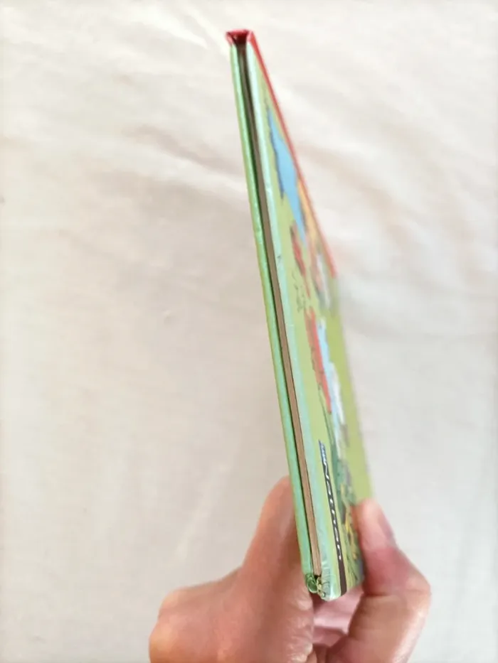 Livre T'choupi cherche les œufs de Pâques - photo numéro 13