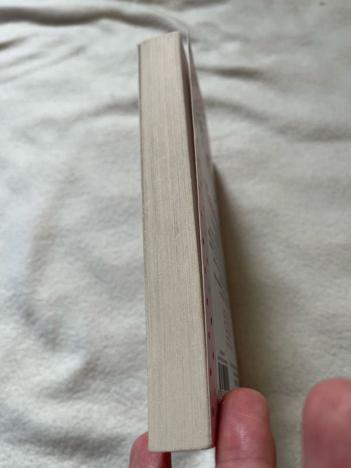 Cœur cerise roman - photo numéro 3