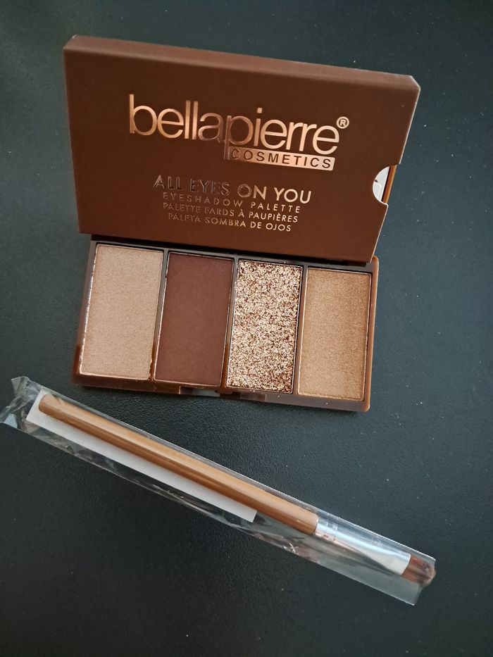 Palette yeux +pinceau