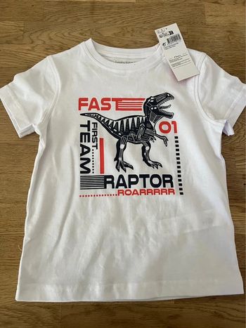 Tee shirt dinosaure
