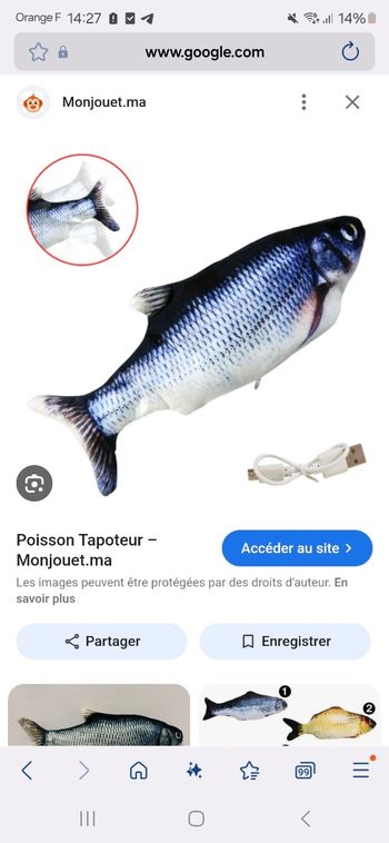 Poisson gigoteur qui tapote et jouets en bois tout neuf