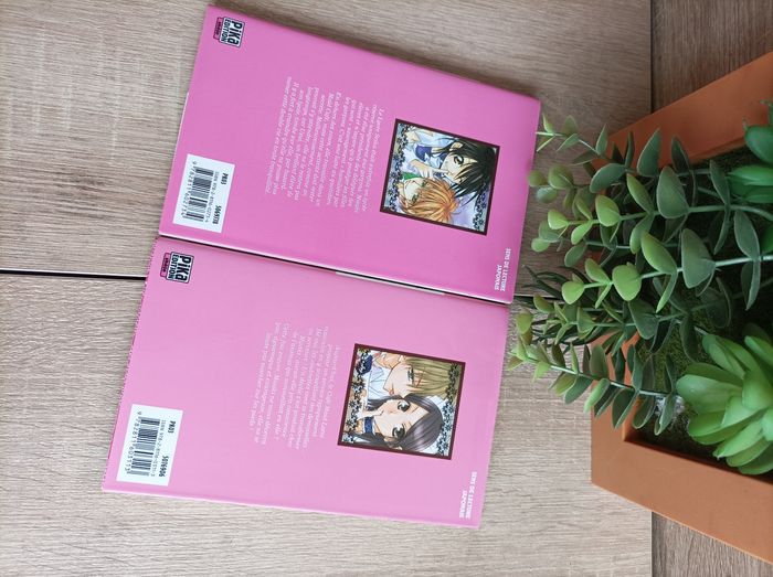 Lot 2 mangas Maid Sama numéro 1 et 2 pika - photo numéro 2