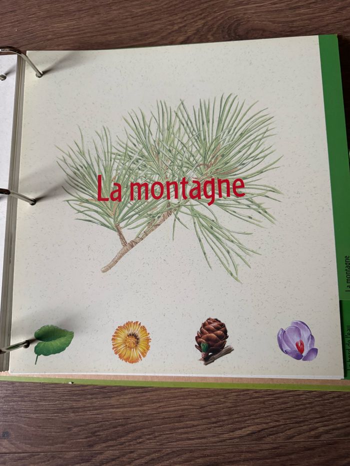 Mon herbier au fil des saisons James Gourier Milan jeunesse - photo numéro 5