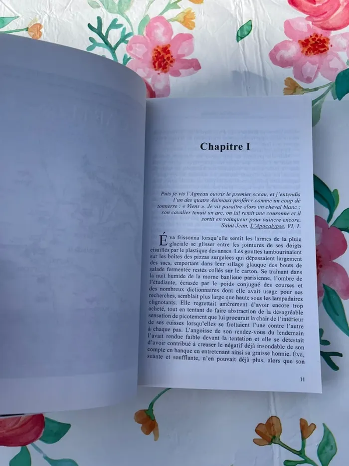 La Croisade des Carpates – Tome 1 – Vanessa & Diana Callico - photo numéro 3