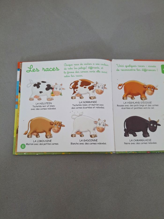 Lot de 5 livres - photo numéro 9