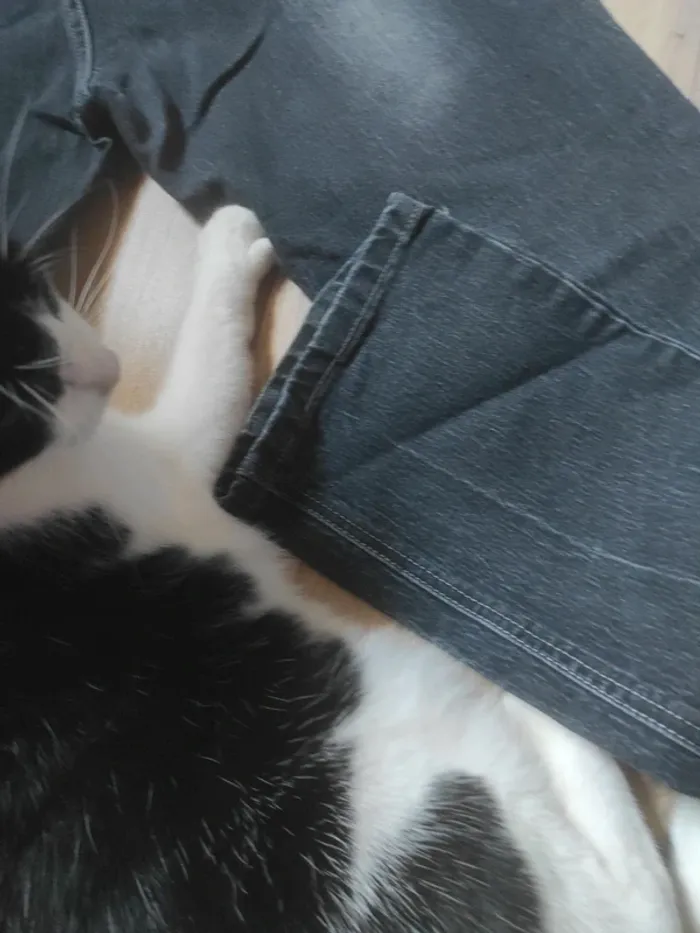 Jean taille 42 - photo numéro 6