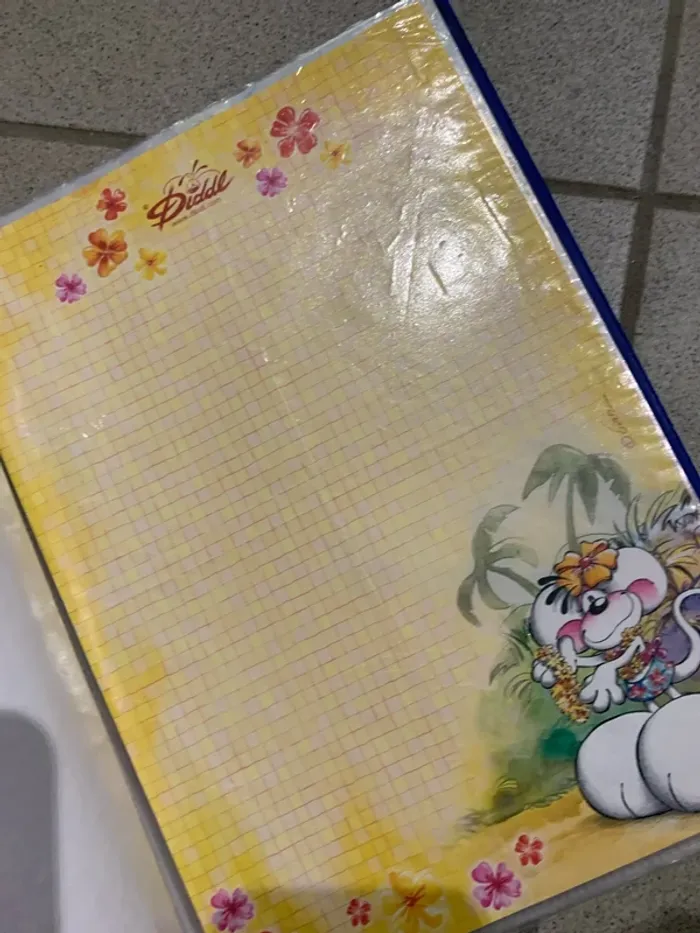 Classeur de feuille diddl - photo numéro 2