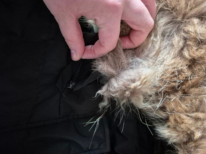 Manteau noir capuche amovible taille 40 Black mojito - photo numéro 2