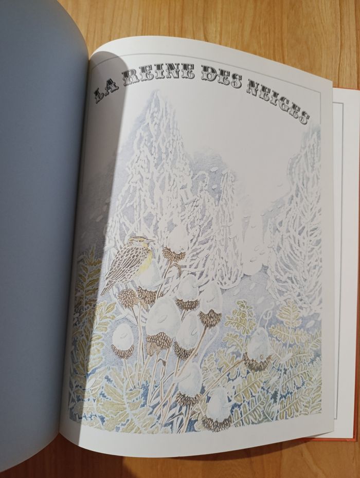 La reine des neiges - photo numéro 5