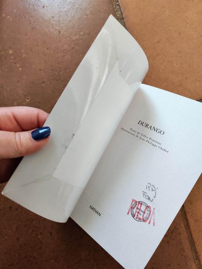 Durango, livre de Gilles Fontaine - photo numéro 4