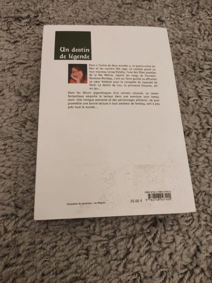 Un destin de légende - photo numéro 2