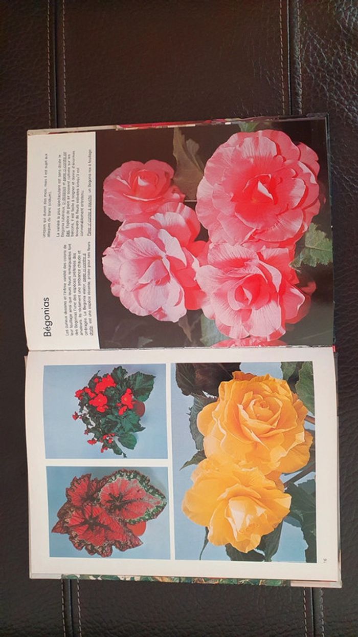 Livre " les plantes d'intérieur " collection Plaisir de voir - photo numéro 11