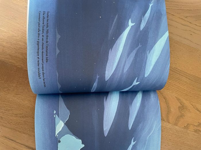 Livre jeunesse La mystérieuse baleine de Daniel Frost - photo numéro 5