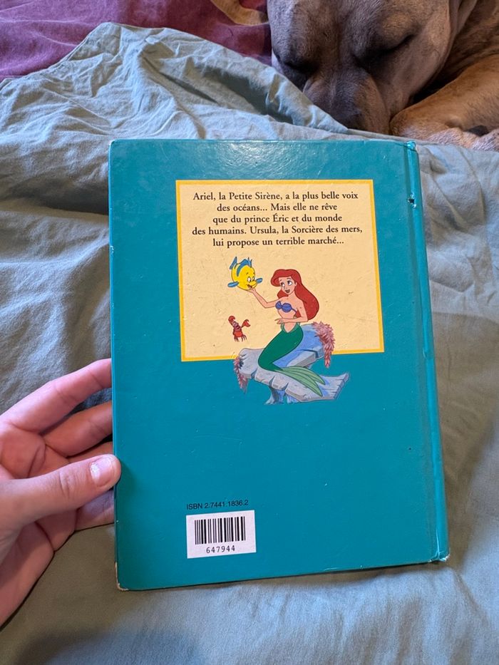 La petite sirène - photo numéro 4