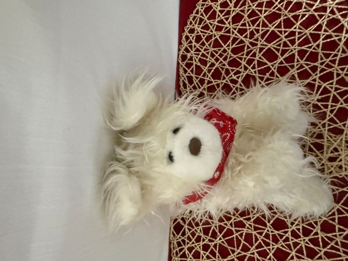 young peopple's shop doudou chien terrier