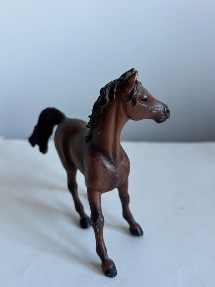 Jument papo - photo numéro 3