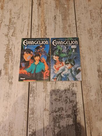 Lot de 2 Manga evangelion