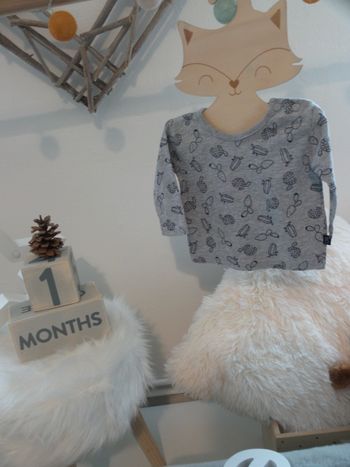 Jolie t shirt manche longue 56cm gris cactus mixte bébé fille bébé garcon 1 mois