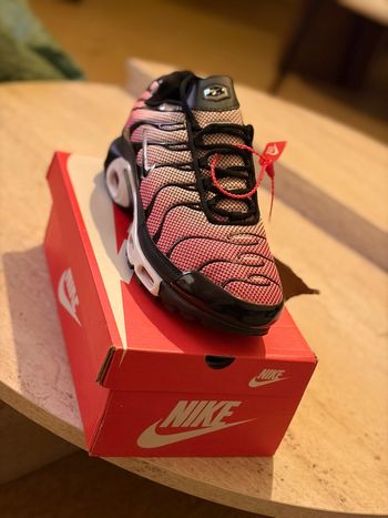 Nike Tn all day  Sunset 
