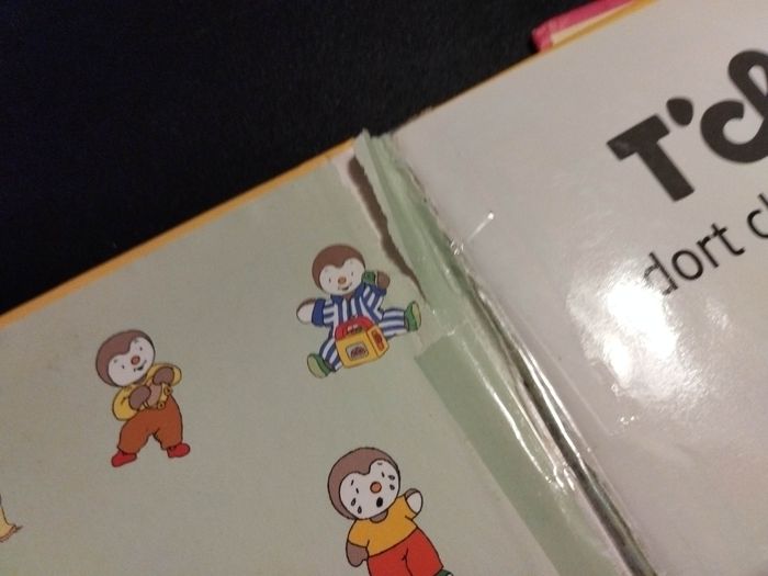 Lot de 4 Livres enfant Nathan T'choupi - photo numéro 5