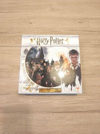 Jeu harry Potter une année à Poudlard