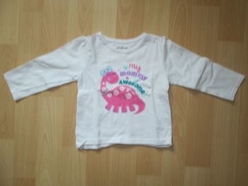 Tee shirt bebe fille 6-9 mois garanimals