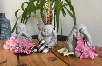 Lot pinces fille accessoires