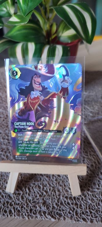 Capitaine crochet 215/204•EN•8