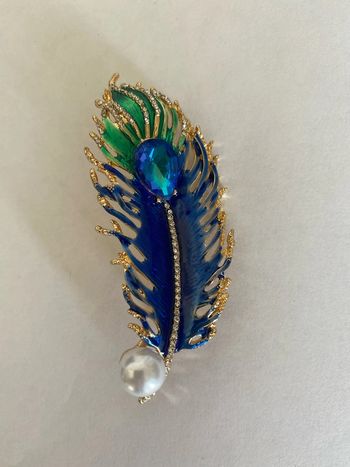 Sublime broche plume