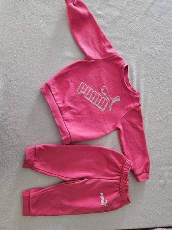 Ensembles puma