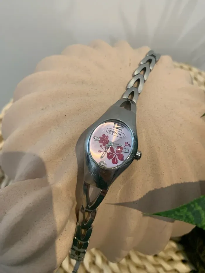 Montre oxbow - photo numéro 2
