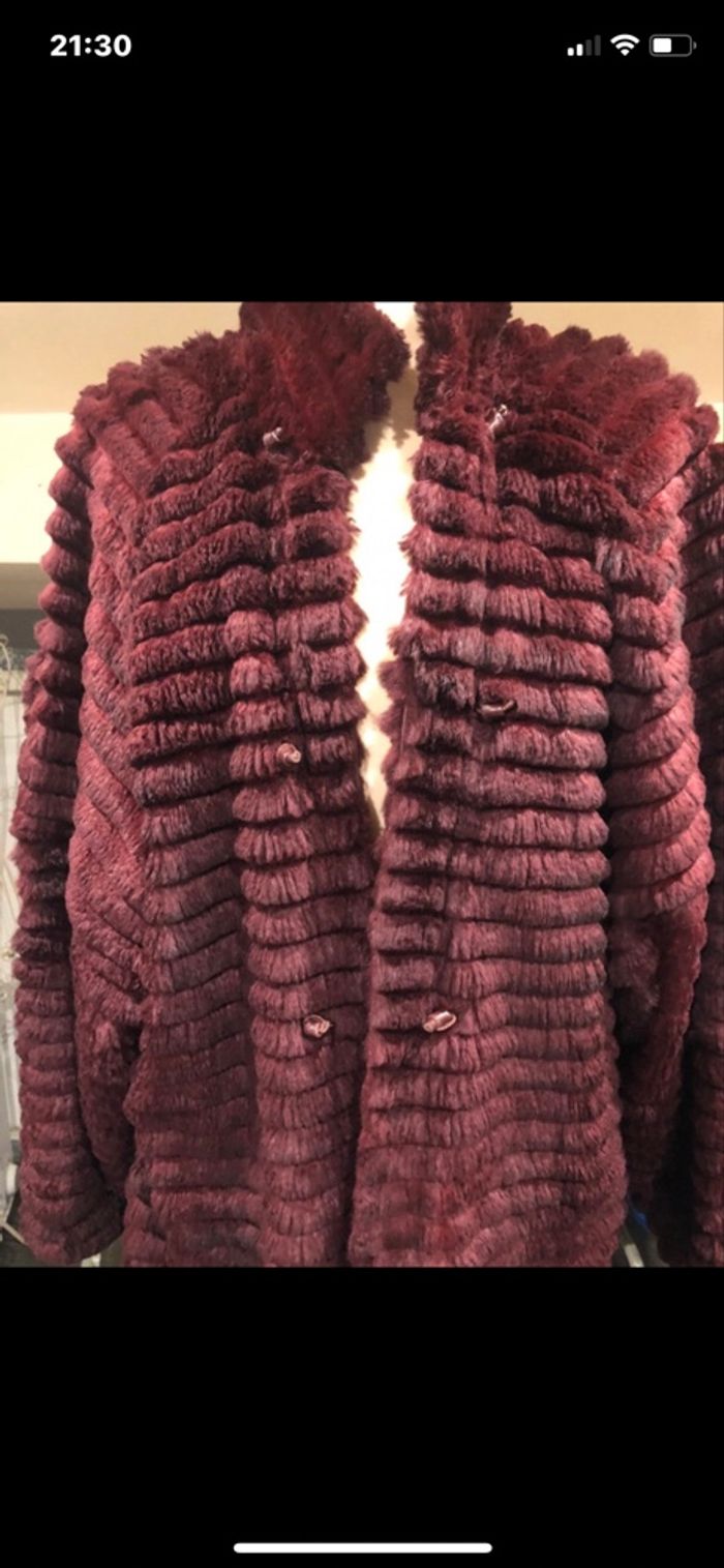 Manteaux - photo numéro 9