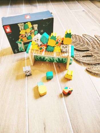 🦜Jeu d'équilibre Tropical Tropik pont suspendu animaux en bois marque Janod