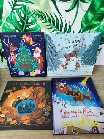 Lot de 4 livres enfant noel Bon état général valeur 50€