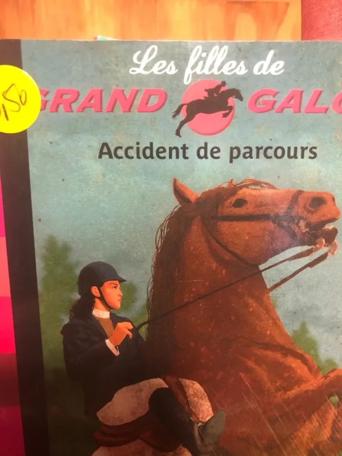 Grand galop - photo numéro 4