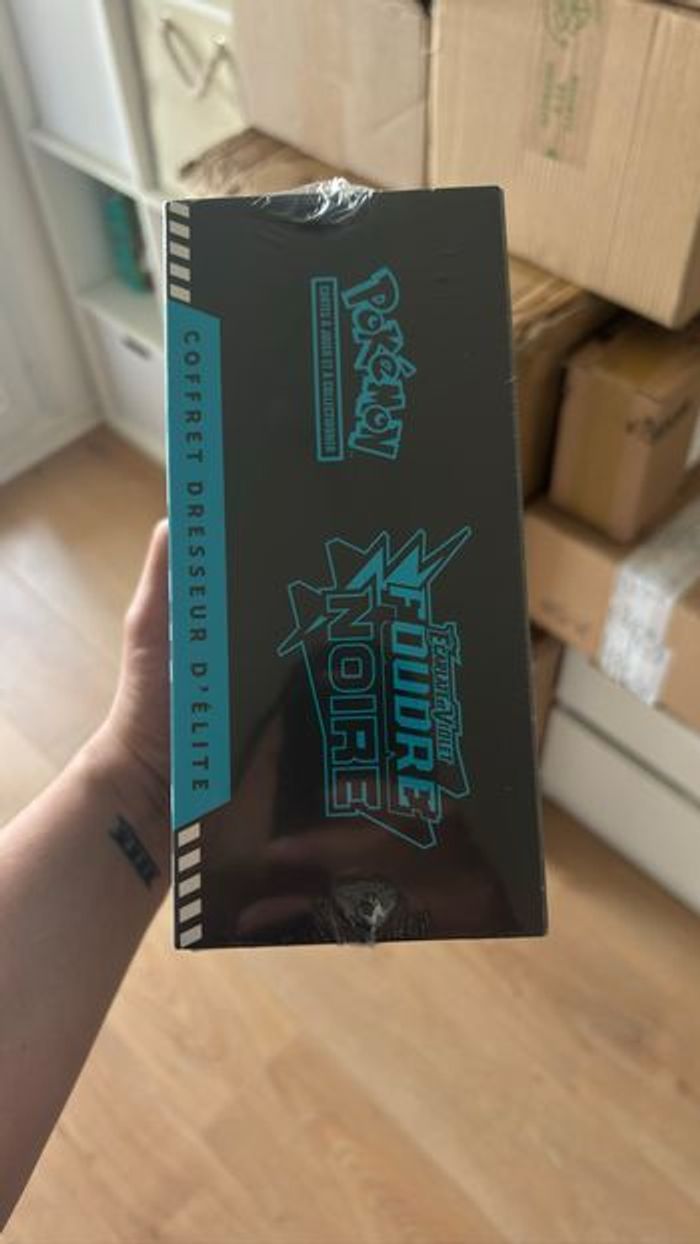 Etb foudre noire - photo numéro 2