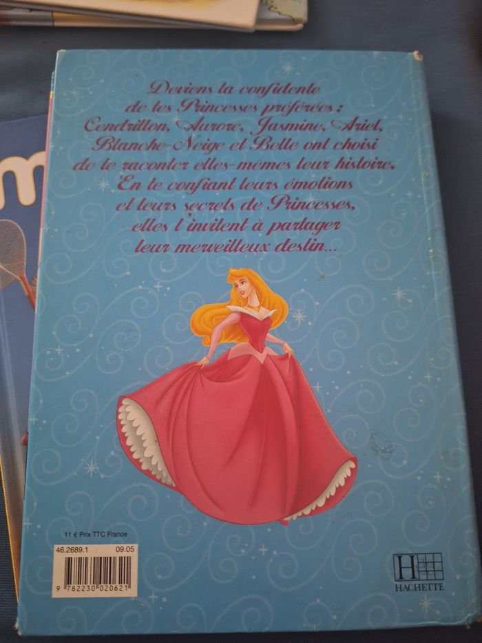 Livre nos vies de princesses - photo numéro 2