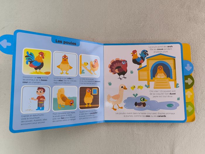 Livre Les animaux de la ferme Milan - photo numéro 5