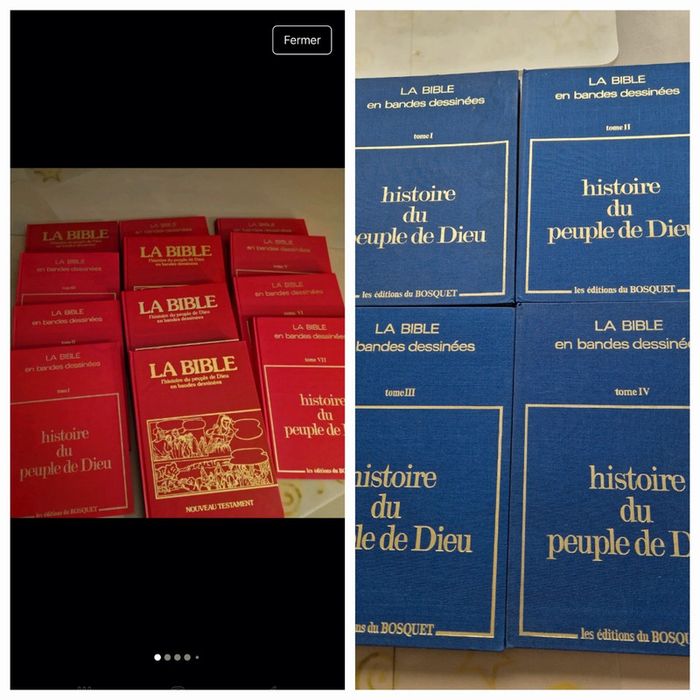 Histoire du peuple de dieu en BD.