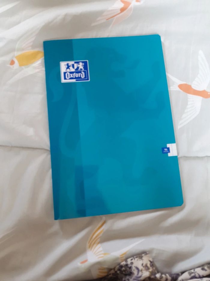 Lot de 2 Cahiers oxford A4