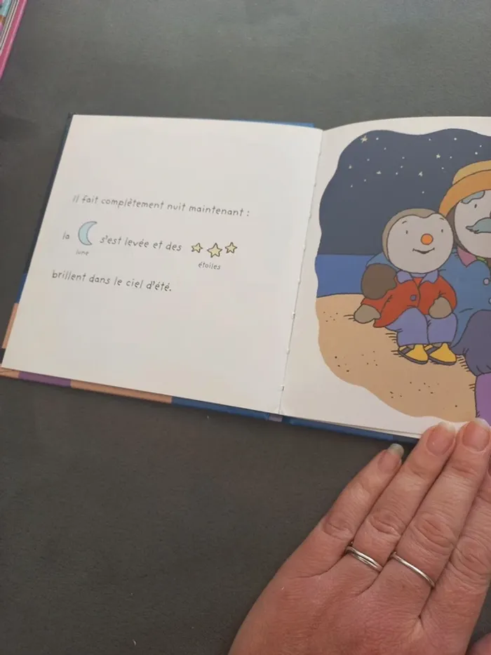Livre t'choupi tchoupi dans la nuit - photo numéro 2