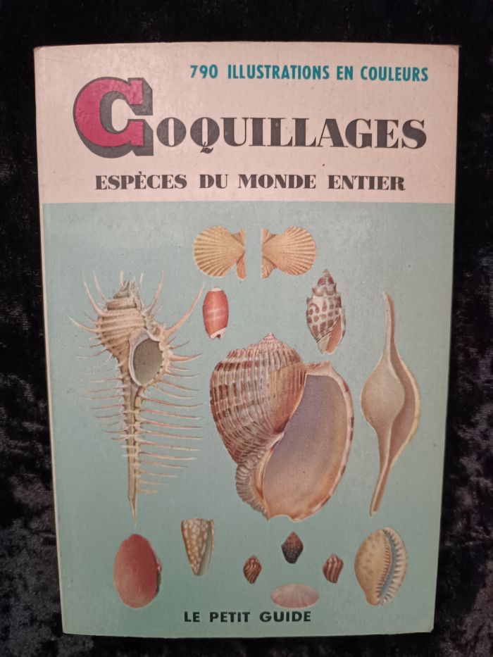 Petit guide coquillages - photo numéro 2