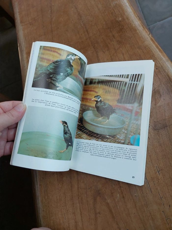 Livre le guide des mainates - photo numéro 4